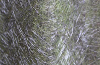 Chinley fibreglass roof work